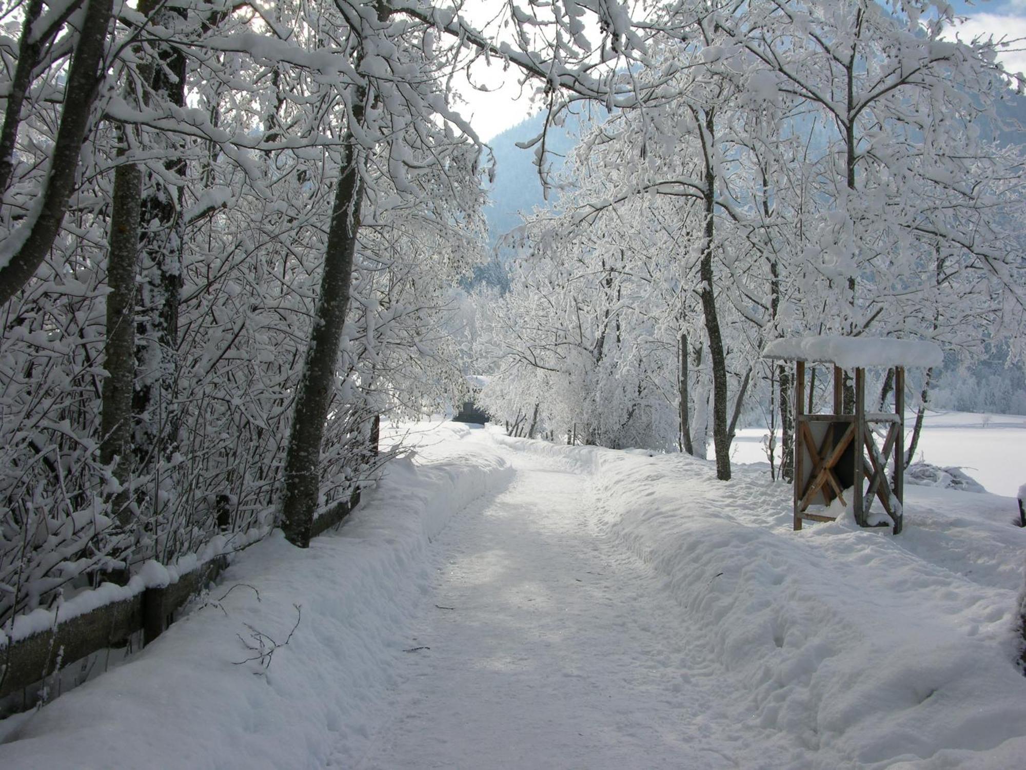 Haus Seeblick Am See Thiersee Exteriér fotografie